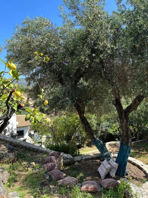 Mount Minis - Casa Bruno Villa Sívota Buitenkant foto